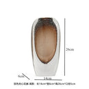 Axyaa Bubble Glass Vase: Decorative Thickened Hydroponic Flower Arrangement Ornament