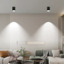 Axyaa LED Ceiling Lamp 220V E27 Bulb Modern Home Decor Downlight
