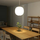 Axyaa White Glass Ball Chandelier - LED Pendant Lights for Home and Restaurant Decor
