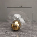 Axyaa Irregular Glass Vase Golden Ball Terrarium Flower Arrangement Jar
