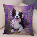 Scottish Border Collie Pillowcase - Axyaa Dog Print Decor Cushion Cover