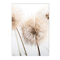 Axyaa Nordic Canvas Wall Art Print Posters for Living Room Decor