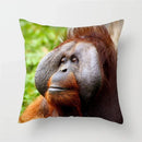 Axyaa Monkey Raccoon Pillow Cover - Wild Animal Print Sofa Decor Case
