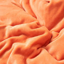 Axyaa Queen Size Winter Fleece Blanket: Soft, Cozy, Plush, Thick Lambswool Throw Blanket