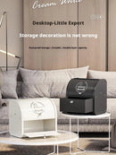 Axyaa Double-Layer Porch Storage Box: Organize Cosmetics, Snacks, Medicines, Daily Necessities