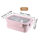 Axyaa Stainless Steel Divided Lunch Box with Detachable Lid & Large Capacity