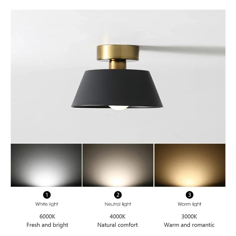 Axyaa Rustic LED Ceiling Lamp for Home Decor and Indoor Lighting