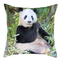 Axyaa Koala Panda Polyester Pillow Cover 45x45cm