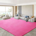 Axyaa Gray Coral Fleece Living Room Rug for Sofa, Coffee Table, Kids Bedroom