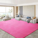 Axyaa Gray Coral Fleece Living Room Rug for Sofa, Coffee Table, Kids Bedroom