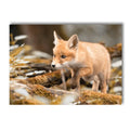 Nordic Forest House Poster Canvas Art Print Wall Pictures by Axyaa for Home Décor