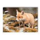 Nordic Forest House Poster Canvas Art Print Wall Pictures by Axyaa for Home Décor