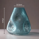 Axyaa Glass Vase Hydroponic Flower Pot Transparent Modern Decor