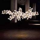 Axyaa Modern Pendant Light LED Chandelier Ceiling Lamp for Indoor Dining Room