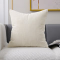 Axyaa Soft Plush Velvet Cushion Cover in Various Colors 45x45