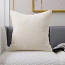 Axyaa Soft Plush Velvet Cushion Cover in Various Colors 45x45