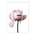 Pink Rose Flower Poster Moroccan Door Islamic Wall Art Canvas Print Axyaa Wall Decor