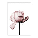 Pink Rose Flower Poster Moroccan Door Islamic Wall Art Canvas Print Axyaa Wall Decor