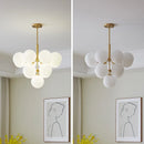 Axyaa Glass LED Pendant Lights for Modern Minimalist Decor