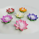 Axyaa Double Petal Lotus Night Light: Festive Floating Water Sensor Flower Color Light