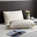 Axyaa Butterfly Silk Pillow 48x74cm - Pack of 2