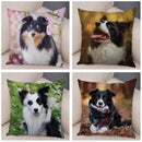Scottish Border Collie Pillowcase - Axyaa Dog Print Decor Cushion Cover