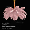 Axyaa Nordic Ostrich Feather Art Chandelier for Home Decoration