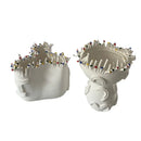 Axyaa Coral Shapes Ceramic Flower Vase Home Decoration Accessories