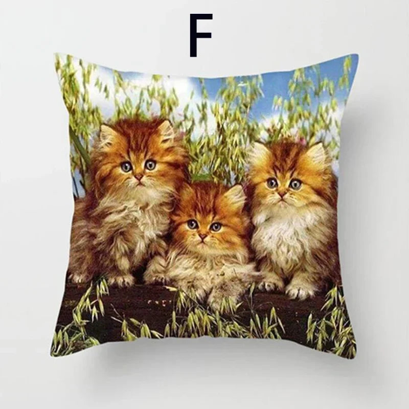Cat Pattern Cushion Cover 45x45cm - Ideal Sofa & Home Decor Gift by Axyaa