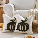 Axyaa Pumpkin Chenille Pillow Cover - Cozy Fall Harvest Decor, Beige/Coffee/Orange Texture