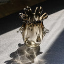 Axyaa Elegant Glass Vase for Flower Arrangement and Hydroponics