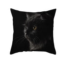Axyaa Black Cat Pillowcases: Cute Kitty Lover Cushion Cover & Home Decor