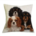 Axyaa Cavalier King Charles Spaniel Sofa Cushion Cover - Home Decor & Party Accessory