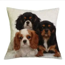 Axyaa Cavalier King Charles Spaniel Sofa Cushion Cover - Home Decor & Party Accessory