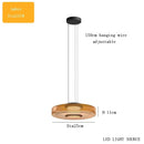 Axyaa Glass Pendant Light for Home, Luxury Club, and Coffee Shop