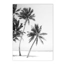 Black and White Beach Landscape Canvas Painting Palm Trees Nordic Wall Art by Axyaa