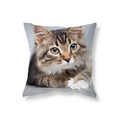 Axyaa Black Cat Cushion Cover for Sofa, Car, Office, Game Chair - Cute & Funny