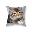 Axyaa Black Cat Cushion Cover for Sofa, Car, Office, Game Chair - Cute & Funny