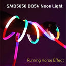 Axyaa Neon LED Rope Strip 360° SMD5050 Remote Control Waterproof Flexible Tape Lamp