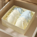 Axyaa Underwear Drawer Organizer Boxes - Closet Storage for Bra, Socks, Underpants