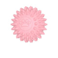 Axyaa Interactive Chewing Ball for Dogs - Teeth Cleaning & Boredom Relief Pet Toy
