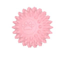 Axyaa Interactive Chewing Ball for Dogs - Teeth Cleaning & Boredom Relief Pet Toy
