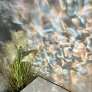 Axyaa LED Ceiling Light: Stylish Atmosphere Lighting for Home Decor, Perfect Christmas Gift