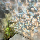 Axyaa LED Ceiling Light - Modern Atmosphere Lighting for Home Decor