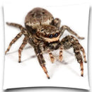 Axyaa Spider & Butterfly Print Decorative Pillow Case for Home Decor