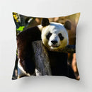 Axyaa Panda Print Polyester Cushion Cover - 45x45cm