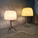 Axyaa Glass Desk Lamp LED Table Light for Home Decor & Bedside Lighting