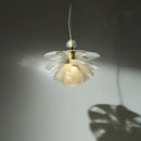Axyaa Designer Acrylic Pine Cone Chandelier LED Lighting Fixtures