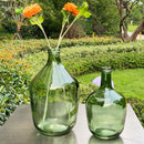 Axyaa Glass Vase: Big Belly Flower Arrangement Hydroponics Home Decoration