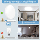Axyaa Modernity LED Ceiling Lamp for Energy-saving Bedroom and Living Room Lighting